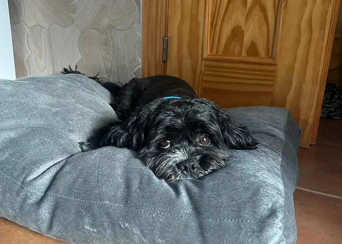 Exedra 3 Estrellas Venkovský dům