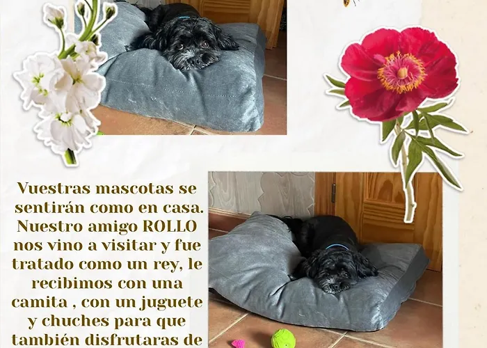 Exedra 3 Estrellas *